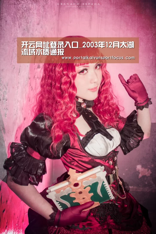 开云平台登录入口