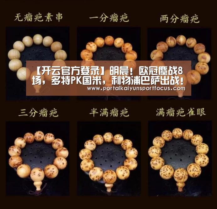 开云平台登录入口