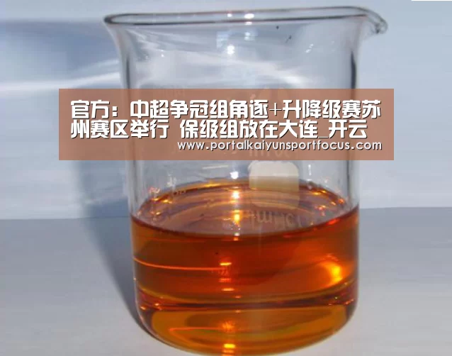 
官方：中超争冠组角逐+升降级赛苏州赛区举行 保级组放在大连_开云官方登录(图1)